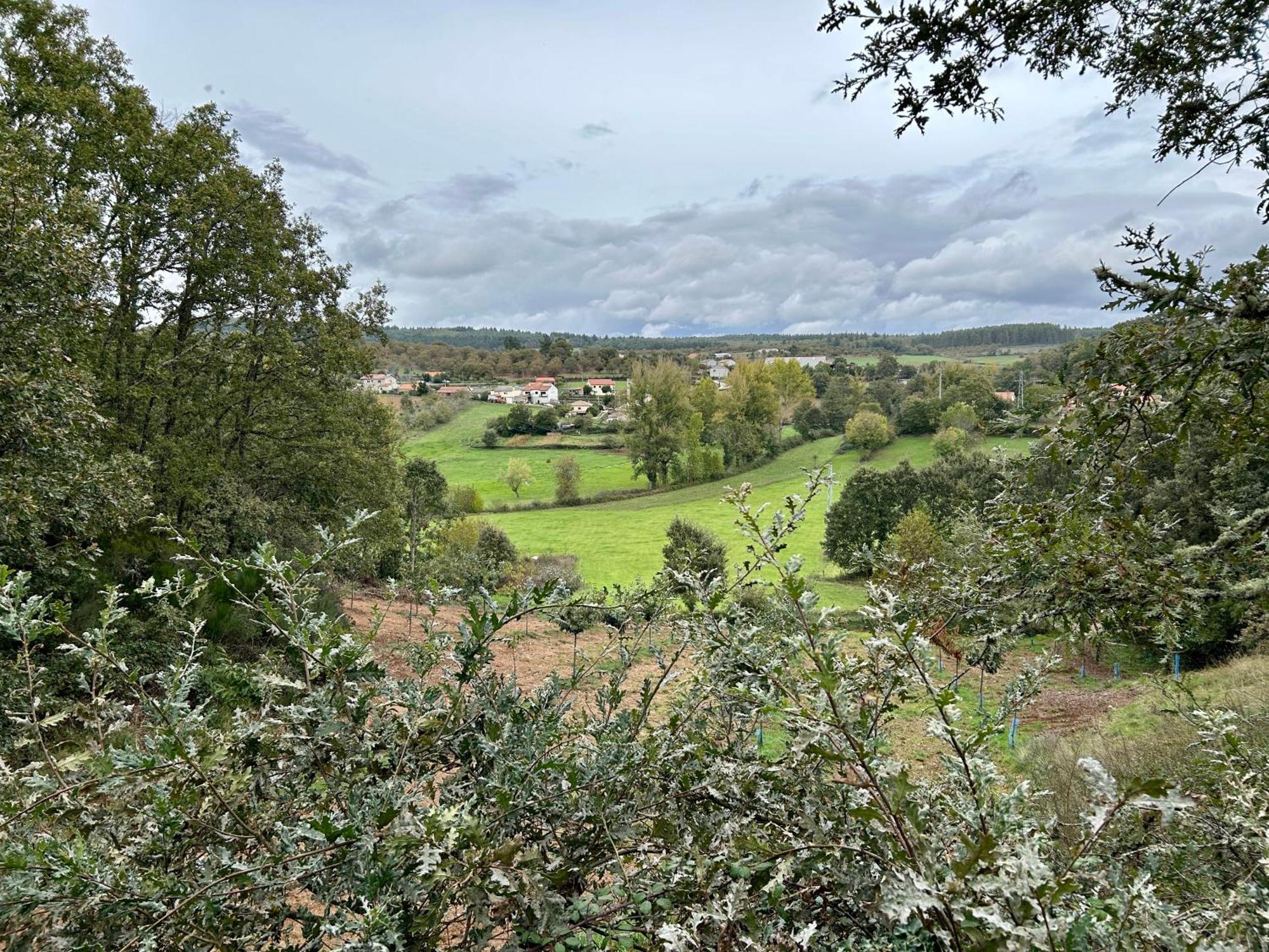 Casa Do Souto - Nature & Experiences - Turismo Rural Bragança Buitenkant foto