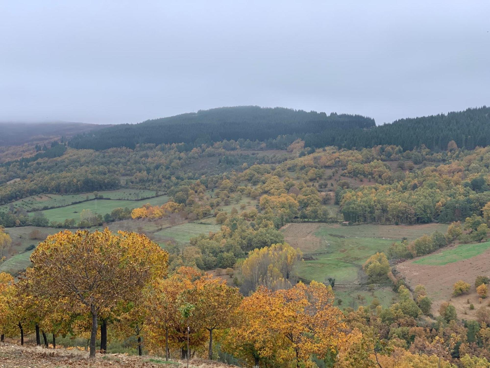 Casa Do Souto - Nature & Experiences - Turismo Rural Bragança Buitenkant foto
