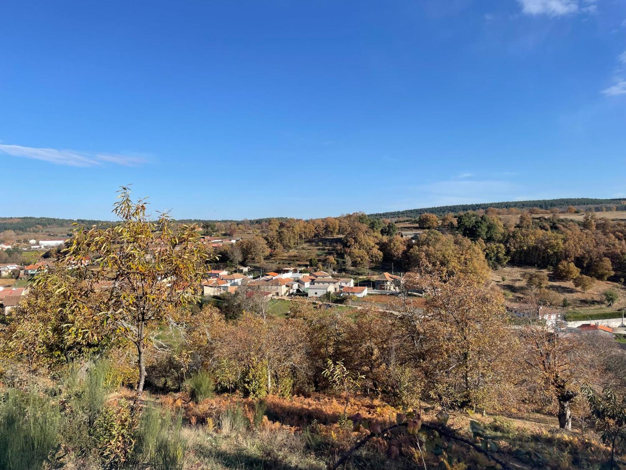 Casa Do Souto - Nature & Experiences - Turismo Rural Bragança Buitenkant foto